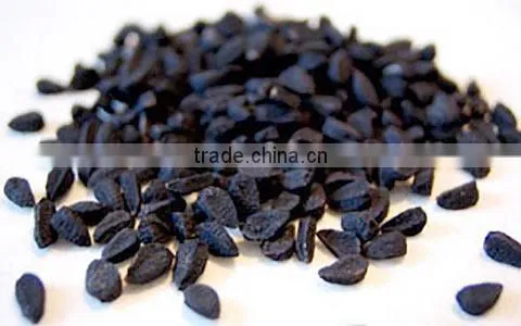 Black Cumin Oil