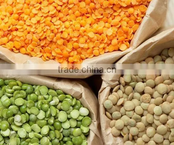 Lentils photo-2