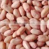 Peanuts Kernel photo-3