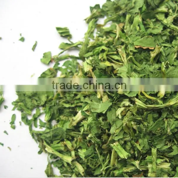 2013 New Crop Spinach Powder photo-5