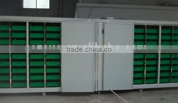 Automatic Hydroponic Barley Grass Fodder Planting System for Animal,livestock,cattle,sheep photo-5
