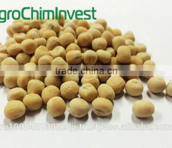 YELLOW PEAS