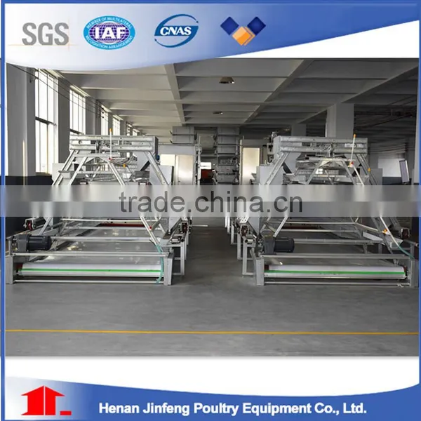 Broiler Chicken Cage Egg Layer Cage Made in China photo-6