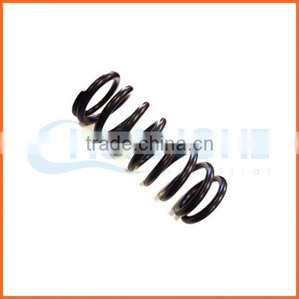 Customized Wholesale Quality Printed Coil Springs photo-3
