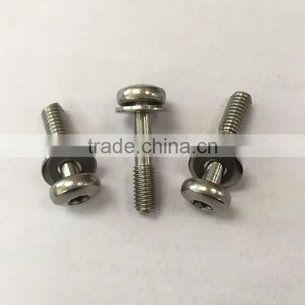 China Supplier Stainless Steel Thumb Screw photo-5