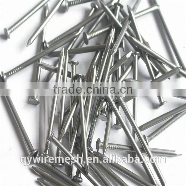 Wholesale Square Body Nails photo-2