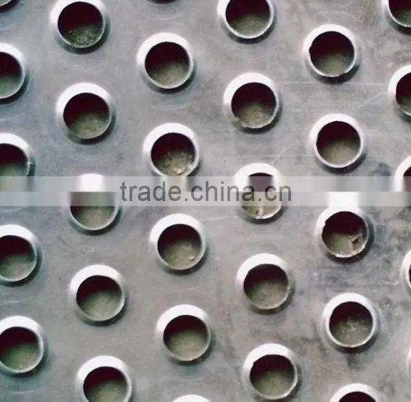 Punching Hole Mesh(factory) photo-4