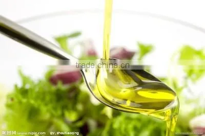 Automatic High Yield Professional Cold Press Oil Machine photo-3