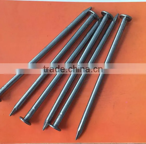 Best Price Polished Wire Common Nails photo-6