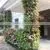 Green Wall Vertical Garden photo-2