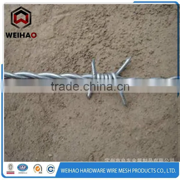 High Breaking Strain Barbed Wire Used in the Orchard photo-2