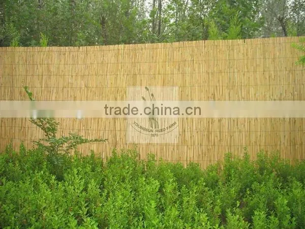 Reed Fence photo-2