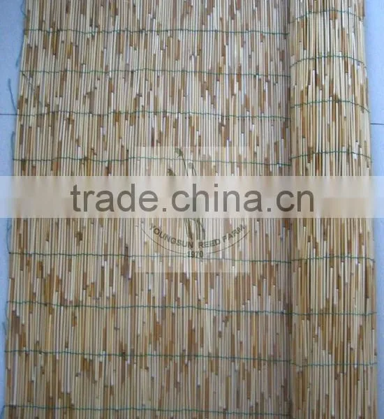 Reed Fence photo-2