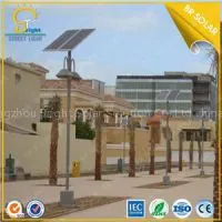 What Are the Best Solar Lights Garden?--BR Solar From China
