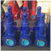 DIN Spring Loaded Pressure Safety Valve photo-3