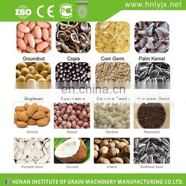 Hot Sale Multi-functional Oil Mill Project/olive Oil Extraction Machine/home Olive Oil Press Machine photo-4