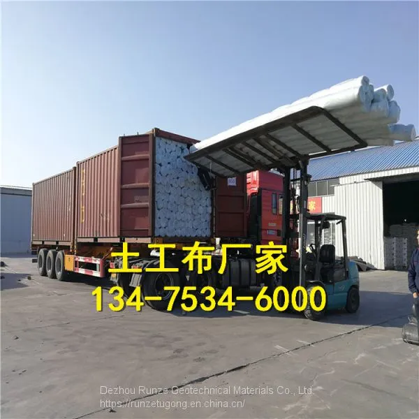 250g Staple Geotextile photo-3