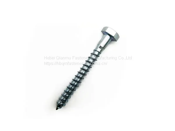 DIN571 M6 M12 Hex Head Wood Screw Fastener photo-5