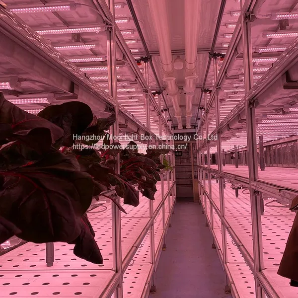 Hydroponic Plant Factory Autopot Artificial Light System Grow Cabinet Kit Systems for Agriculture photo-4