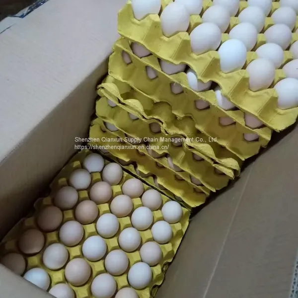 Fresh Eggs for Hong Kong Market