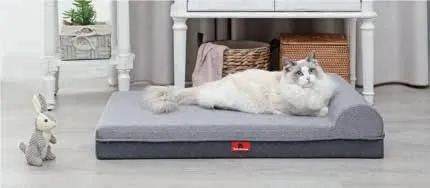 Orthopedic Memory Foam Calming Pet Bed With One Pillow