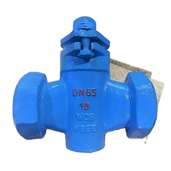 OEM CHX Stainless Steel WCB CF8 Thread Plug Valve DN100 Flange Water Plug Valve photo-2
