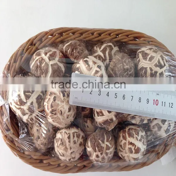 Dried Lentinus Edodes Shiitake photo-2