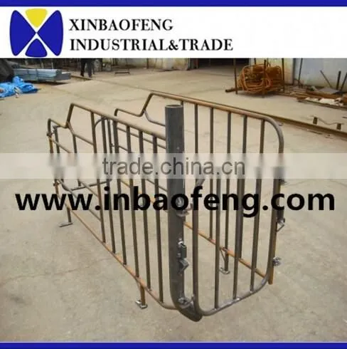 Pig Farming Equipment Gestation Stall Gestation Crate photo-3