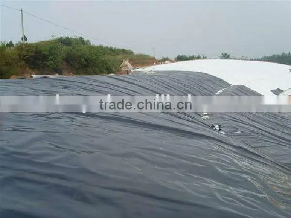 HDPE Geomembrane(1.5mm) for Fish Pond or Landfill Projects photo-5
