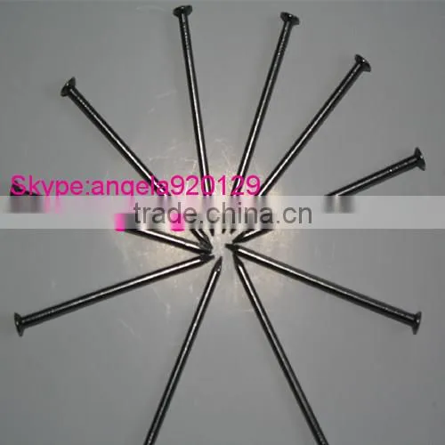 Common Nail Iron Nail Factory Common Wire Nail photo-3