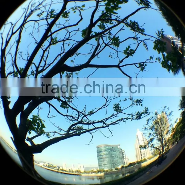 2015 Wholesale 0.67 * Wide Angle & Fisheye & Micro 180 Degree Fisheye Lens For All Phone