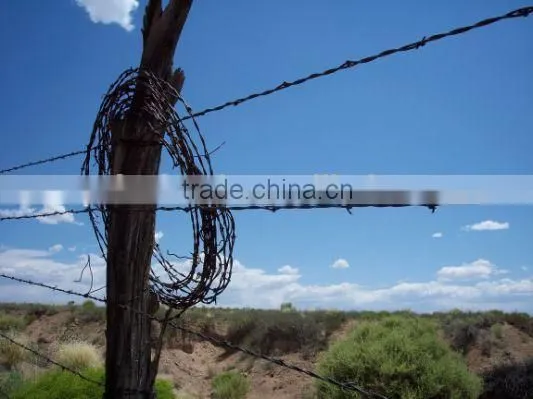 Hot Sale Barbed Wire Length per Roll /barbed Wire Fence/barbed Wire Price Express photo-5