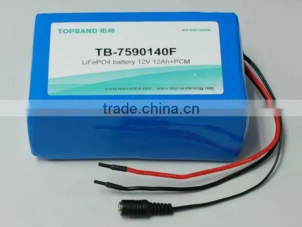 Perfect Batteries for New Year!! TB-7590140F 12V 12AH With PCM LiFePO4 Battery