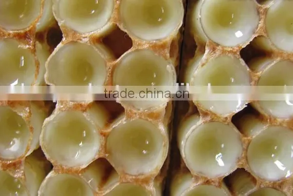 Bee Products Royal Jelly Chinese photo-5