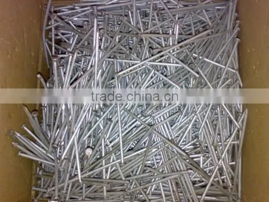 Common Nails With Good Quality photo-5