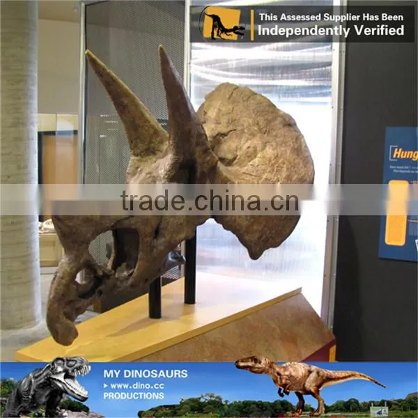 MY Dino-C087 Amusement Park Life Size Triceratops Skeleton photo-3