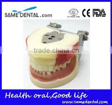 Dental Eduction Assistant No. DEA-04 photo-2