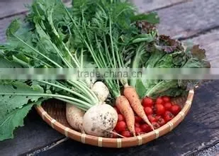 Bamboo Food Basket/mini Bamboo Basket/decorative Bamboo Basket photo-2