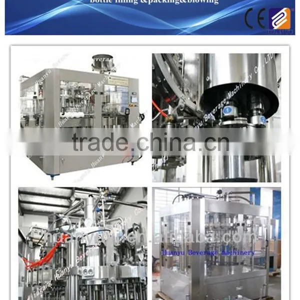 Bottling Wine Filling Equipment/Plant
