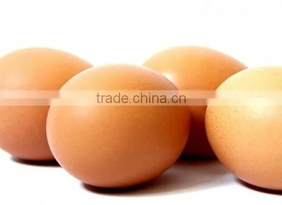FRESH BROWN CHICKEN EGGS photo-3