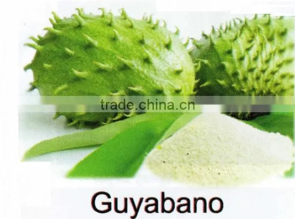 All-Natural Spray Dried Guyabano Powder