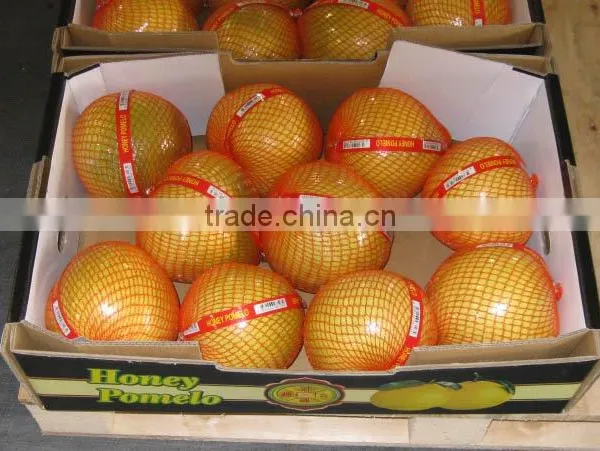 Fresh Sweet Pomelos photo-2