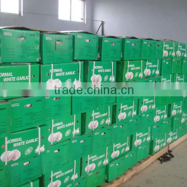 Chinese Garlic 2015 Crop photo-4