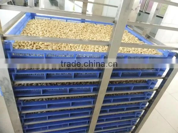 High Demand Export Products Fried and Salted Peanuts Canned Roasted Salted Peanuts photo-3