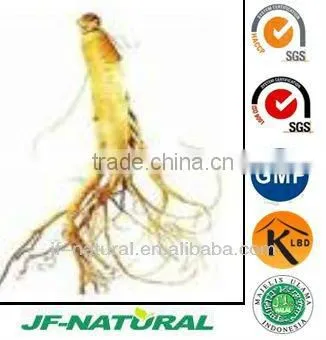 Korean Ginseng Extract