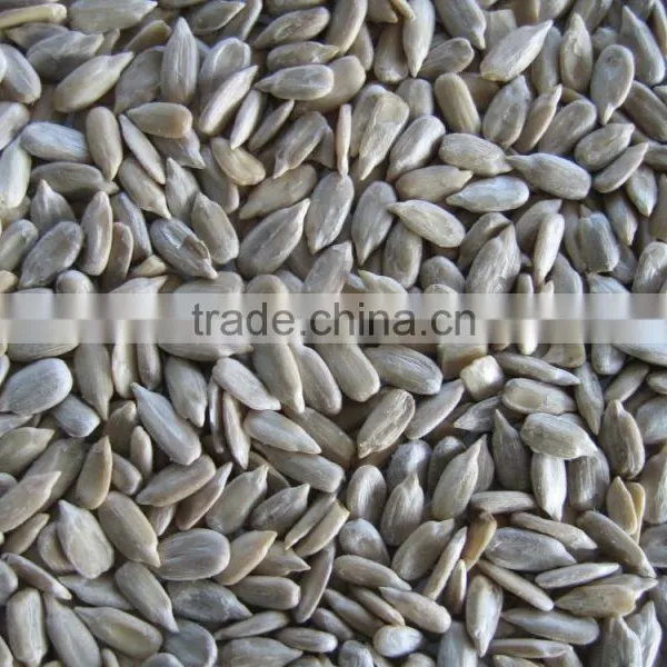 Hulled Sunflower Seeds Price Confectionery Grade&bakery Grade photo-2