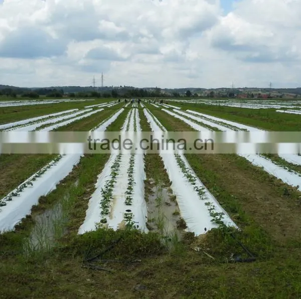 Pure Natural Organic Granular Fertilizer Application Humic Acid for Sale photo-4