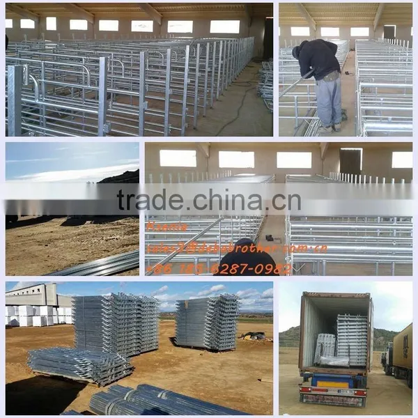Adjustable Pvc Sow Farrowing Crate photo-5