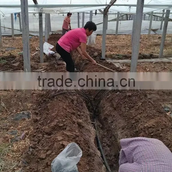 Greenhouse Irrigation Project for Grape photo-3