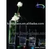 Clear Glass Vase